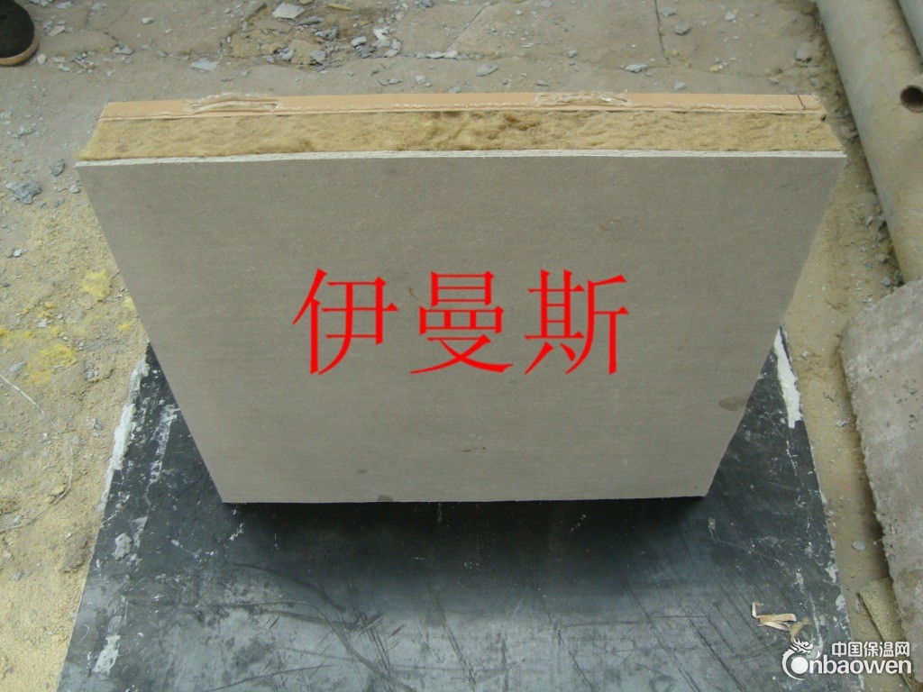 DSC03878
