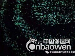 夜光透水路面 发光混凝土地坪图3