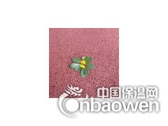 透水地坪材料 透水混凝土强化剂 胶粘剂图3