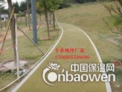 公园透水混凝土路面 厂家直供图2