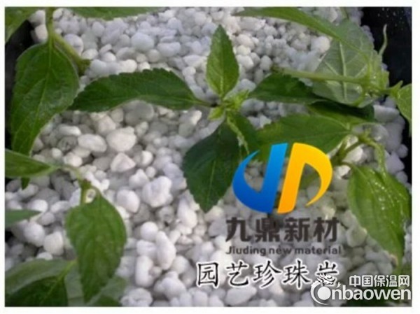 信阳珍珠岩厂家供应粒度1-3mm膨胀珍珠岩