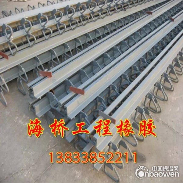 专业生产桥梁伸缩缝 异型桥梁伸缩缝 生产厂家 价格优惠