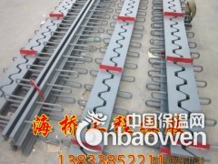 专业生产桥梁伸缩缝 异型桥梁伸缩缝 生产厂家 价格优惠图3
