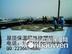 广西贺州XPS挤塑板生产厂家图3