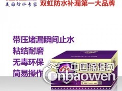 双虹防水快速堵漏王SH-115快干水泥膨胀水泥堵漏灵水不漏图2