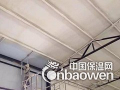 冷冻冷藏冷库喷涂保温工程图3