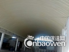 冷冻冷藏冷库喷涂保温工程图3