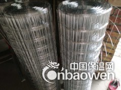镀锌铁丝网 电焊网外墙保温网 防裂网钢丝网 钢结构专用铁丝网图2