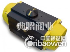 DFS100-DA-M双作用执行器图2