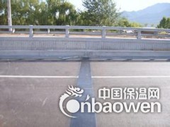 TST无缝桥梁伸缩缝的特点图2