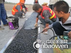 TST桥梁伸缩缝    填充式桥梁伸缩缝