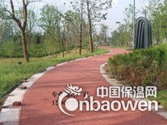 中卫艺术透水混凝土路面 彩色透水地坪 包工包料图2