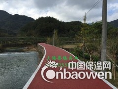 嘉兴彩色透水混凝土地坪 还您一个清新的城市图2