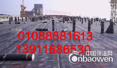 北京昌平区专业屋顶防水公司尖锐的施工团队
