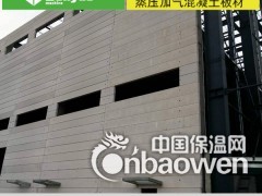 B06级蒸压砂加气混凝土屋面板AAC钢结构板材图2