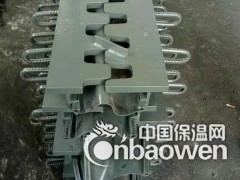 临海市SF梳齿钢板桥梁伸缩缝图2