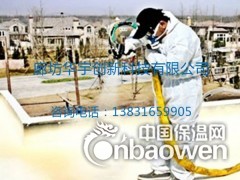 喷涂料厂家屋面喷涂保温防水一体化图2