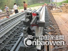 GQF-E60型桥梁伸缩缝使用年限