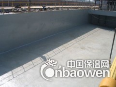 LV高分子聚合物防水防腐涂料价格图3