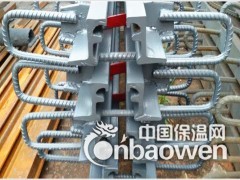 Z60 40 80 桥梁伸缩缝安装图1