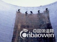 LV高分子改性防腐防水涂料价格图3