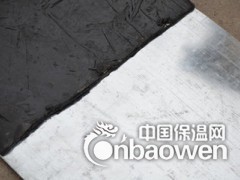 丁基腻子钢板橡胶止水带应用范围图2