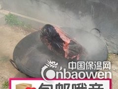 PVC塑料胶泥配方揭秘图3