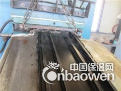 背贴式止水带图片///图3