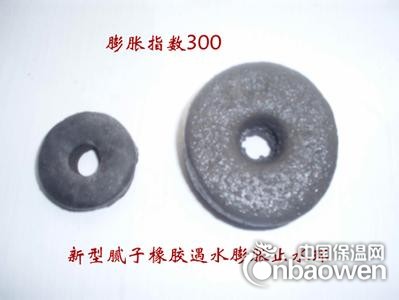 凤城市BW遇水膨胀止水环生产商