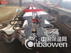 桥梁伸缩缝安装检查图3