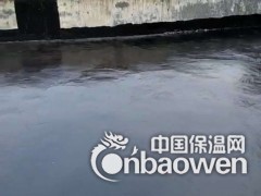 双虹防水涂料911聚氨酯油性聚氨酯双组份聚氨酯防水涂料图2