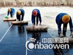 透明瓦做防水图2
