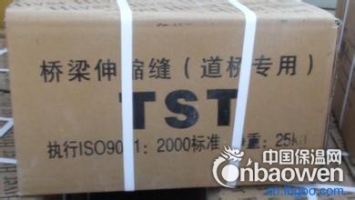 TST无缝桥梁伸缩缝环保型