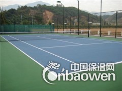 六盘水硅PU篮球场图2