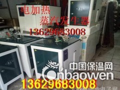 昆明电加热蒸汽发生器13629683008电热蒸汽炉 厂家图2