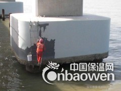海防海水淡化专用混凝土防腐防水涂料图2