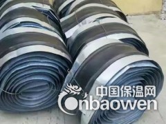 钢边橡胶止水带-九江市图2