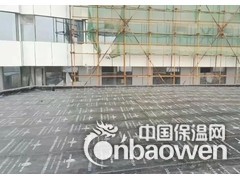 庙城镇做防水，庙城专业做防水公司图2