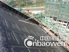 双桥做防水，双桥专业防水堵漏施工公司图2