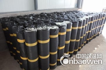 朝阳做防水公司 朝阳区专业楼顶防水堵漏