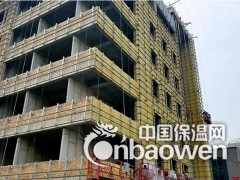贴箔岩棉板    外墙国标岩棉板 建筑墙体中强度岩棉板图1