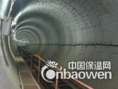 CPO-三防一体防腐防水涂料图2