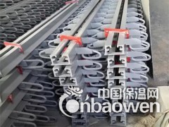 张家口市CD-60型桥梁伸缩缝图2