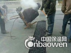 贵阳TST桥梁伸缩缝填充料图2