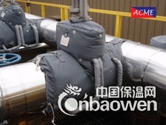 疏水阀保温套 截止阀保温套 闸阀保温套 球阀保温套图3