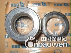 KSB机械密封 KSB轴承 KSB热油泵图2