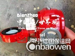 进口Bray博雷气动蝶阀图2