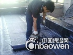 空港开发区做防水，空港专业防水堵漏公司图2
