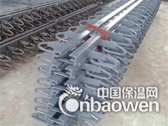 保定CD-60型桥梁伸缩缝图3