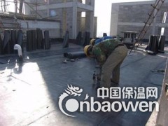 玉渊潭专业做防水材料   玉渊潭镇图2